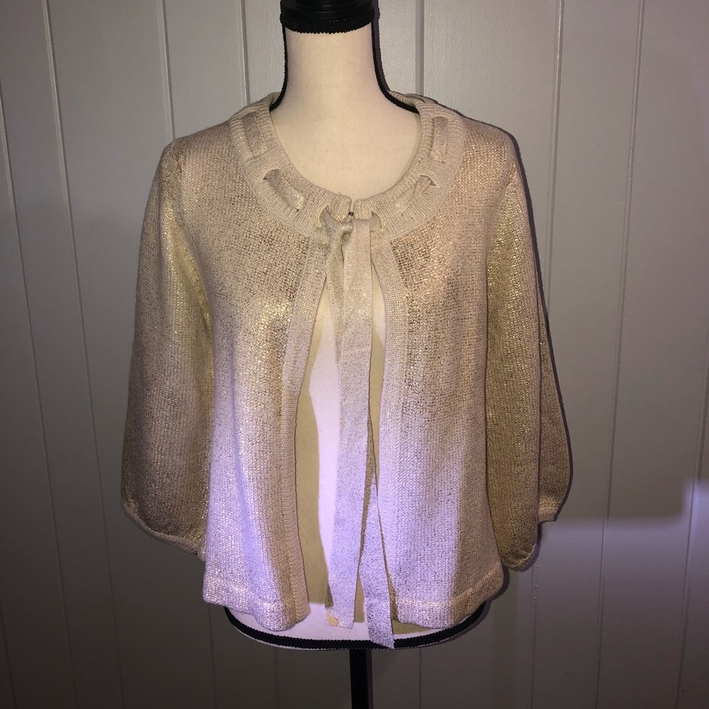 H&M Metallic Sweater